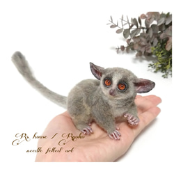 羊毛フェルト 人形『 ショウガラゴ ( Bushbaby ) / 手のひらサイズ ① 』 7枚目の画像