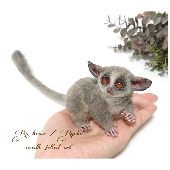 羊毛フェルト 人形『 ショウガラゴ ( Bushbaby ) / 手のひらサイズ ① 』 7枚目の画像