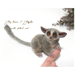 羊毛フェルト 人形『 ショウガラゴ ( Bushbaby ) / 手のひら