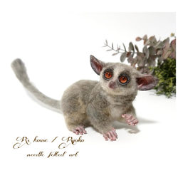 羊毛フェルト 人形『 ショウガラゴ ( Bushbaby ) / 手のひらサイズ ① 』 8枚目の画像