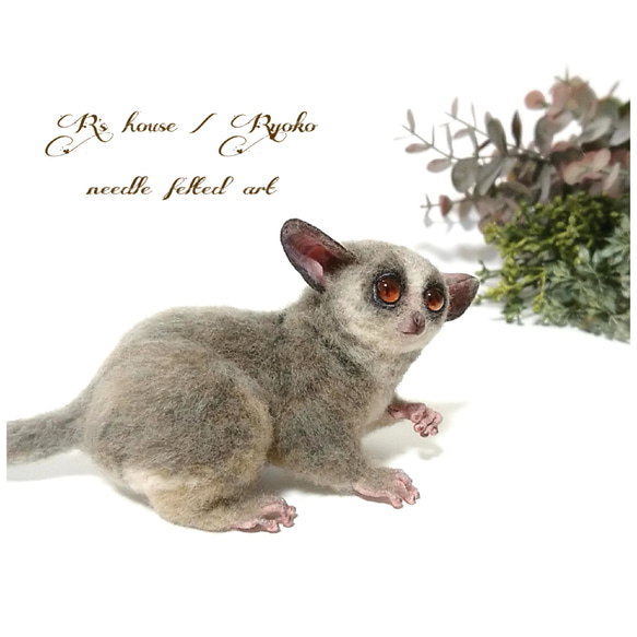 羊毛フェルト 人形『 ショウガラゴ ( Bushbaby ) / 手のひらサイズ ① 』 5枚目の画像