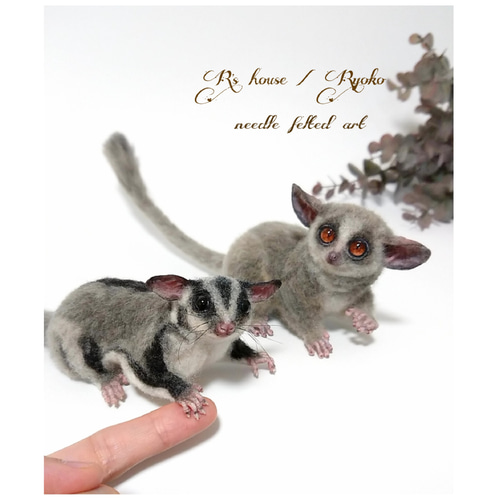 羊毛フェルト 人形『 フクロモモンガ ( Sugarglider 羊毛フェルト 人形『 フクロモモンガ ( Sugarglider