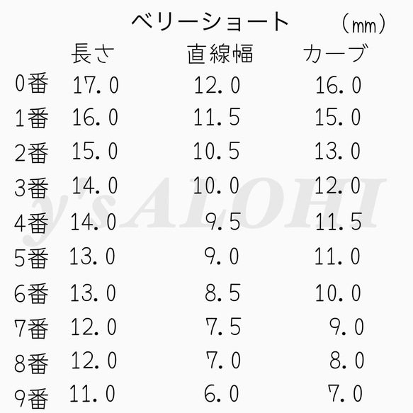 ネイルチップ　マグネットネイル 3枚目の画像