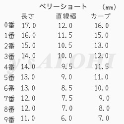 ネイルチップ　マグネットネイル 4枚目の画像