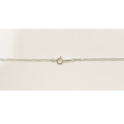 さおりんさん確認用パールアカシア ミモザ「パールアカシア