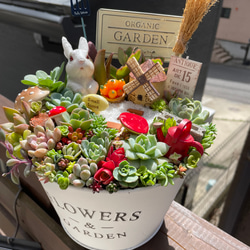 プレゼントにも〜受注制作 大 うさぎちゃん箱庭風多肉植物寄せ