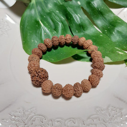 ルドラクシャ 8ムキ 三眼天珠 水晶 ブレスレット 14,5cm ブレスレット