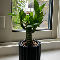 ミニ プランター / 3個セット / 艶消しブラック / 多肉植物 観葉植物 鉢 ポット ガーデニング 4枚目の画像