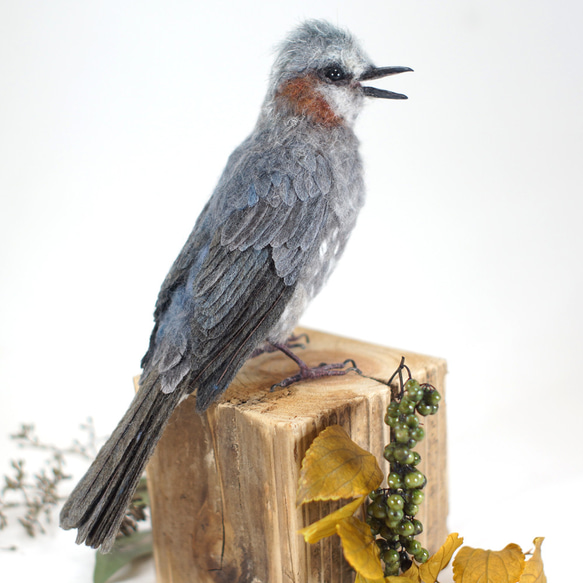 野鳥＊羊毛フェルト ヒヨドリ 羊毛フェルト 森羊のクーシャ
