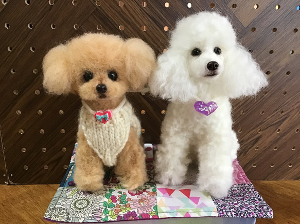 Amazon.co.jp: 【BESTEVER】犬 ぬいぐるみ リアル 仔犬 お座り