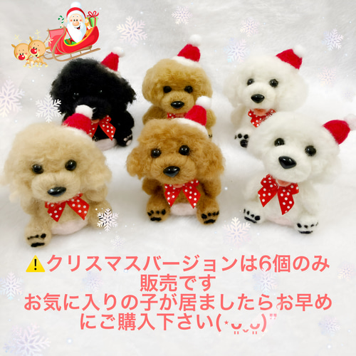 Creema限定クリスマス2022 メリクリプー☆ 可愛いプードル