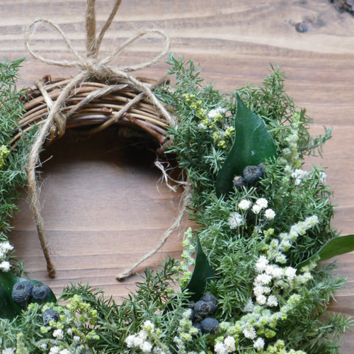 フレンチリース　かすみ草 1405-01.jpg