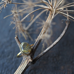 rutile quartz brass ring (shuurei) 5枚目の画像