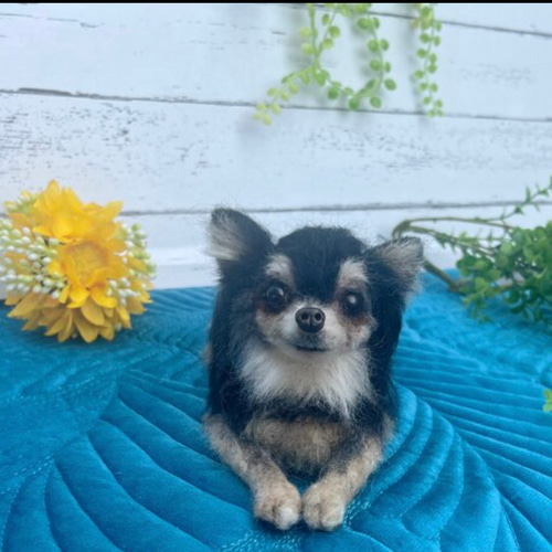 愛犬 オーダー 羊毛フェルト 犬 ♡チワワ 世界でたったひとつ