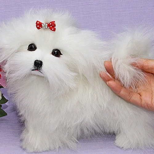 5.ぬいぐるみ、テディマルチーズ、犬、ハンドメイド、オリジナル