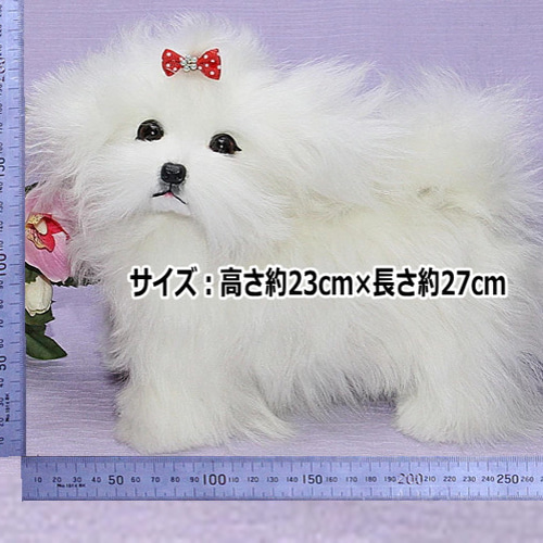 マルチーズ・ぬいぐるみ。現品お届けです 日本生まれの上品質を