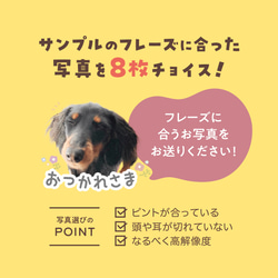 LINEスタンプ〈8個〉★犬猫 うちの子  ★オーダーメイド ★審査済みで納品後すぐ使える！ 3枚目の画像