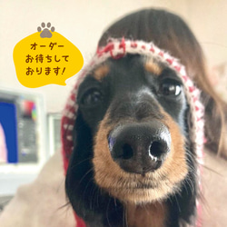 LINEスタンプ〈8個〉★犬猫 うちの子  ★オーダーメイド ★審査済みで納品後すぐ使える！ 6枚目の画像