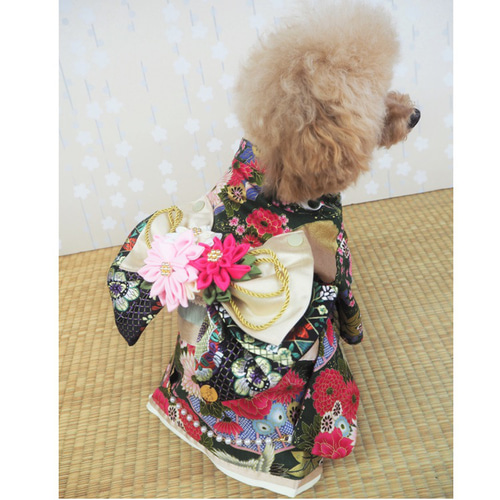 着物 和服 和柄 和装 きもの ドックウェア 犬服 犬の服 猫服 猫 着物 和服 和柄 和装 きもの ドックウェア 犬服 犬の服 猫服 猫