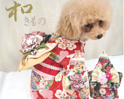 着物 和服 和柄 和装 きもの ドックウェア 犬服 犬の服 猫服 猫