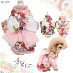 ♡新作♡ 着物 和服 和装 和柄 極小犬 超小型犬 パピー 小型犬