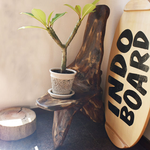 流木インテリア 一枚板の天然流木スタンド 流木インテリア 花台 プランター 流木オブジェ 流木インテリア
