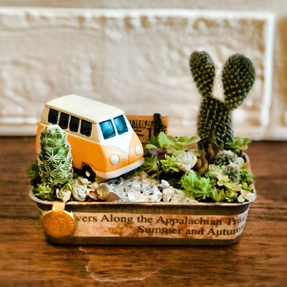 ☆そのまま飾れる☆ドライブ☆サボテン•多肉植物寄せ植え☆ 多肉植物