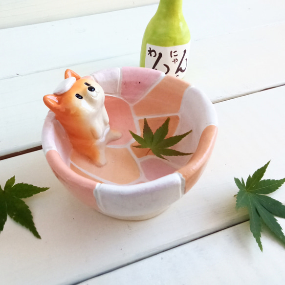 溫泉戀人 Shiba Inu Guinomi 水碗 訂做 第4張的照片