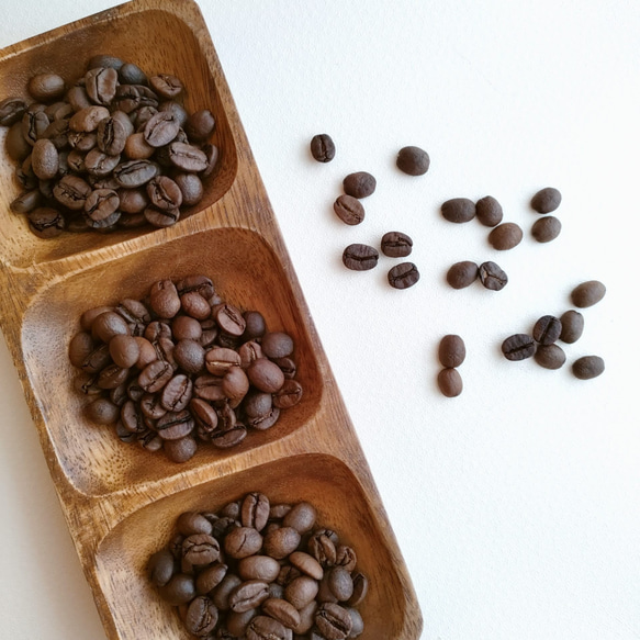 ブラジル ショコラ エスペランサ［100g(約10杯分)］/自家焙煎コーヒー豆/粉/ドリップコーヒー/レギュラー 1枚目の画像