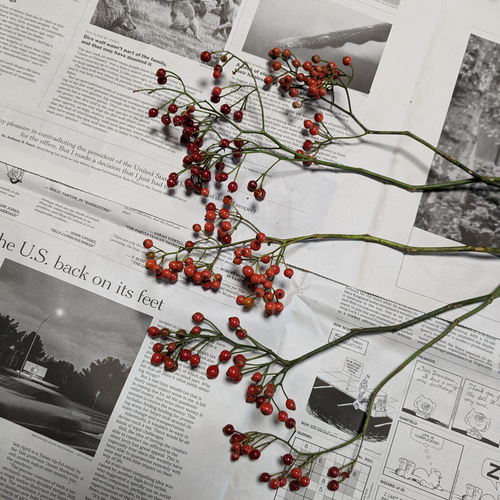 クリスマス花材 野ばらの実 ローズヒップ 25本30cm その他素材 Fine