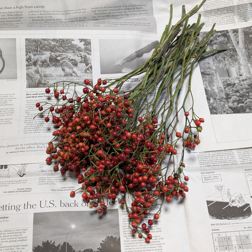 北海道バラの実　イノバラの実　ローズヒップ　クリスマス花材　ドライフラワー 北海道バラの実 イノバラの実 ローズヒップ クリスマス花材 ドライ