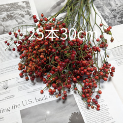 北海道バラの実　イノバラの実　ローズヒップ　クリスマス花材　ご予約ページ 北海道バラの実 イノバラの実 ローズヒップ クリスマス花材 - メルカリ