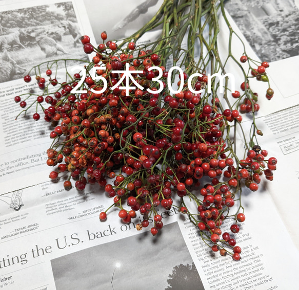 クリスマス花材 野ばらの実 ローズヒップ 25本30cm その他素材 Fine