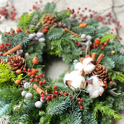 ＜作りたて発送＞生の針葉樹＆赤い実たっぷりのクリスマスリース ／生からドライになりゆく贅沢リース／選べる３サイズ 4枚目の画像