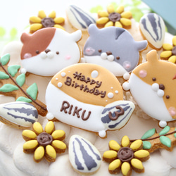 ハムスター　【アイシングクッキー】　オーダー　小動物　かわいい　インスタ映え　手作りケーキ　飾り 8枚目の画像