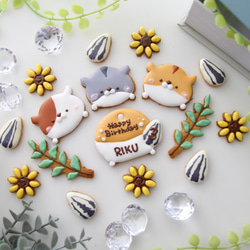 ハムスター　【アイシングクッキー】　オーダー　小動物　かわいい　インスタ映え　手作りケーキ　飾り 5枚目の画像