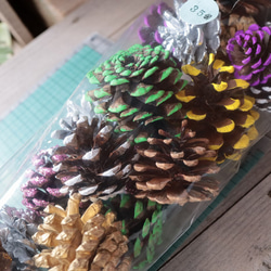 プロテア シルビアのドライフラワー（40cm級） ドライフラワー yurari