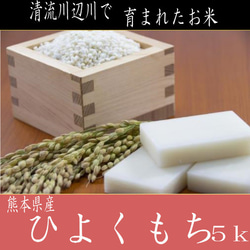 令和4年産新米　餅米　精白米ヒヨクモチ5kg　熊本県相良村産 1枚目の画像