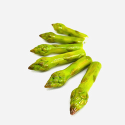 新作⭐︎【金具選択可】アスパラガス フェイクフード 野菜 アスパラ単体 カニカン ストラップ オブジェ 4枚目の画像