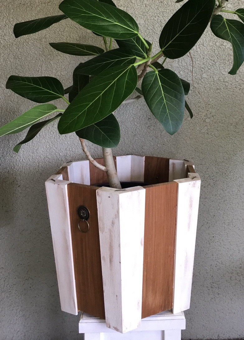 週末セール！ 鉢カバー 天然木 素材そのものの形状を活かしたデザイン