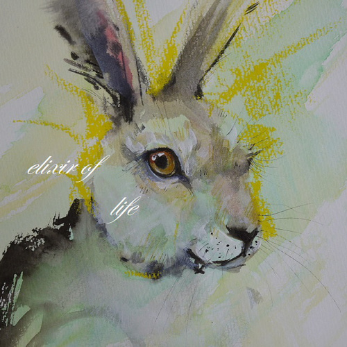 Nさま専用（原画）夏うさぎ【A5サイズ／水彩画／#2397】 Nさま専用（原画）夏うさぎ【A5サイズ／水彩画／#2397】 Nさま専用