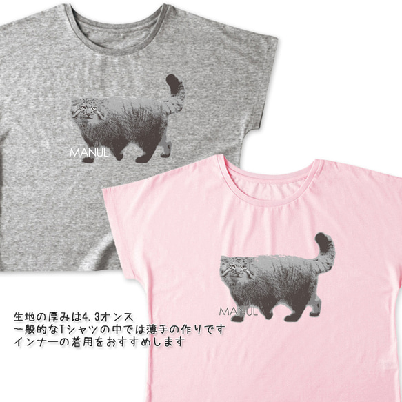 送料無料[ドルマンTシャツ]リアルマヌル　マヌルネコ[レディース] 2枚目の画像