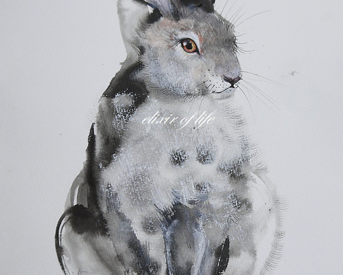 水彩画 原画 時計うさぎ d95188eb7dd791bcf9d8604fad59ba