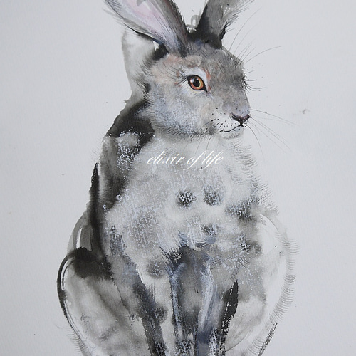 アクリル画 ウサギ  動物 鬼辰カケル@猫描き職人 on X: 