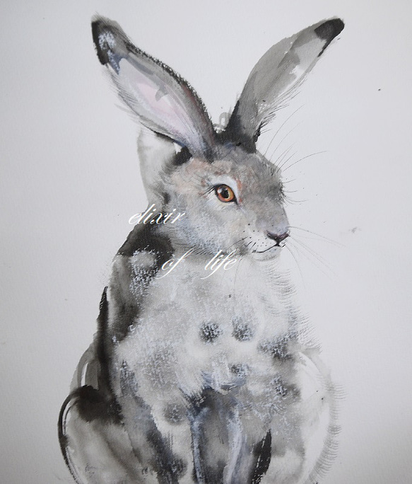 座るウサギ２０２２(水彩画用紙、墨絵、21cm×２９ｃｍ、Ａ４サイズ、墨、水彩、パステル） 2枚目の画像