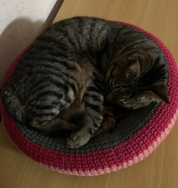 猫ベッド　ピンク✖️グレー　送料無料 3枚目の画像