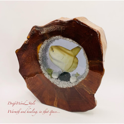 一つ限りの流木アート マンボウ 水中ジオラマ 流木 レジン テラリウム アクアリウム インテリア オブジェ 3枚目の画像