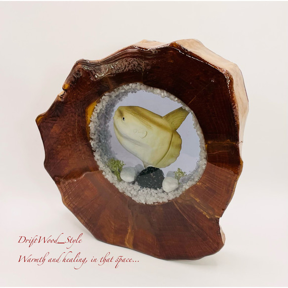 一つ限りの流木アート マンボウ 水中ジオラマ 流木 レジン テラリウム アクアリウム インテリア オブジェ 3枚目の画像