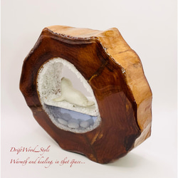一つ限りの流木アート 流氷のゴマフアザラシ ジオラマ 流木 フィギュア 置物 インテリア レジン 海 オブジェ 8枚目の画像