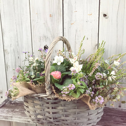 ドライフラワー　アナベルと小花のナチュラルリース Natural＊アナベルとピンクの小花のリース☆ドライフラワーリース